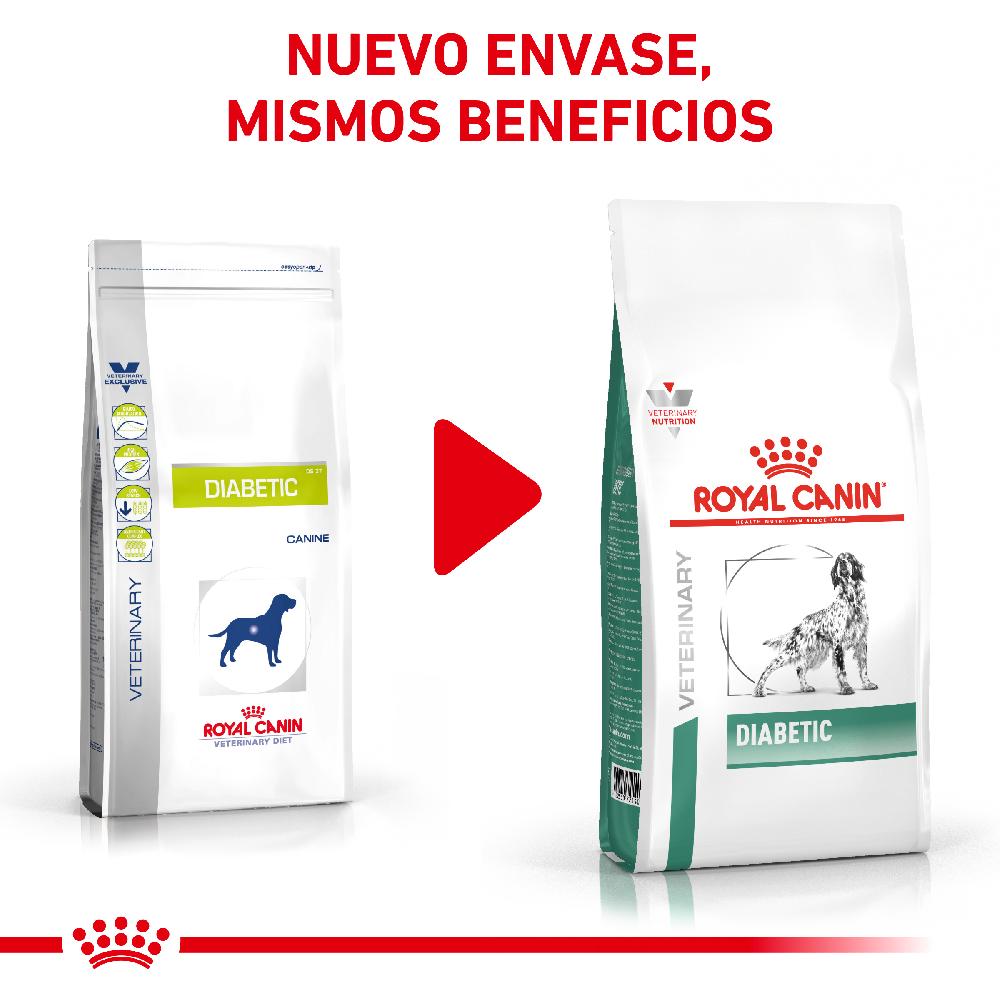 Miscota Royal Canin Cibo Secco per Cani Diabetic Vendita