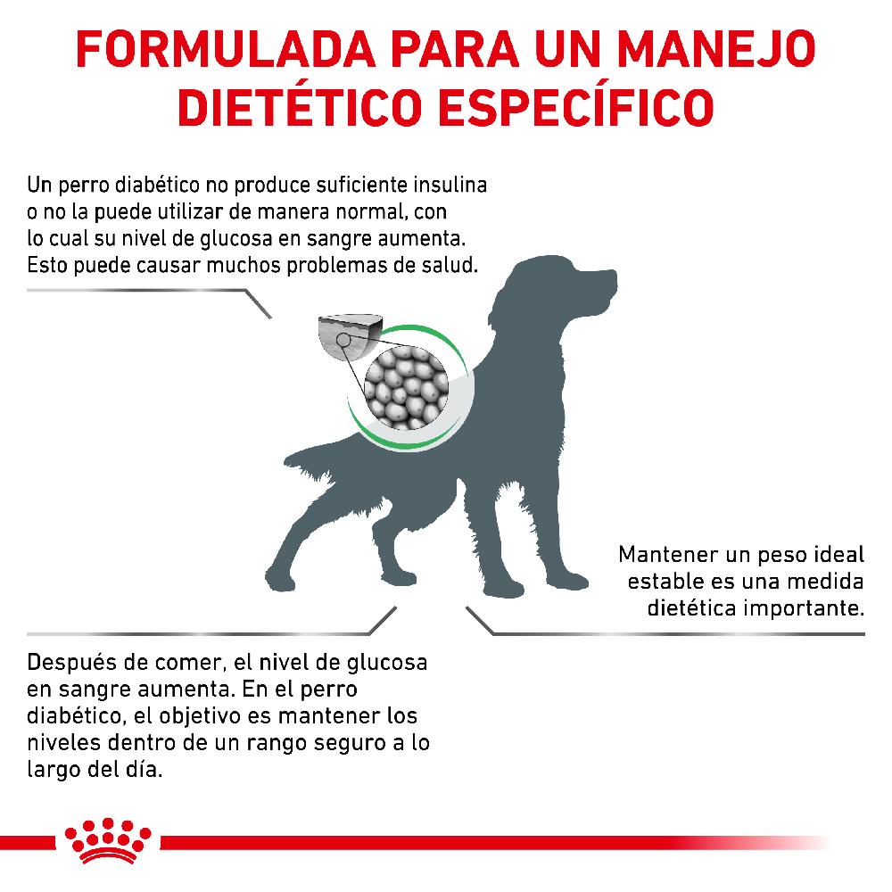 Miscota Royal Canin Cibo Secco per Cani Diabetic Vendita