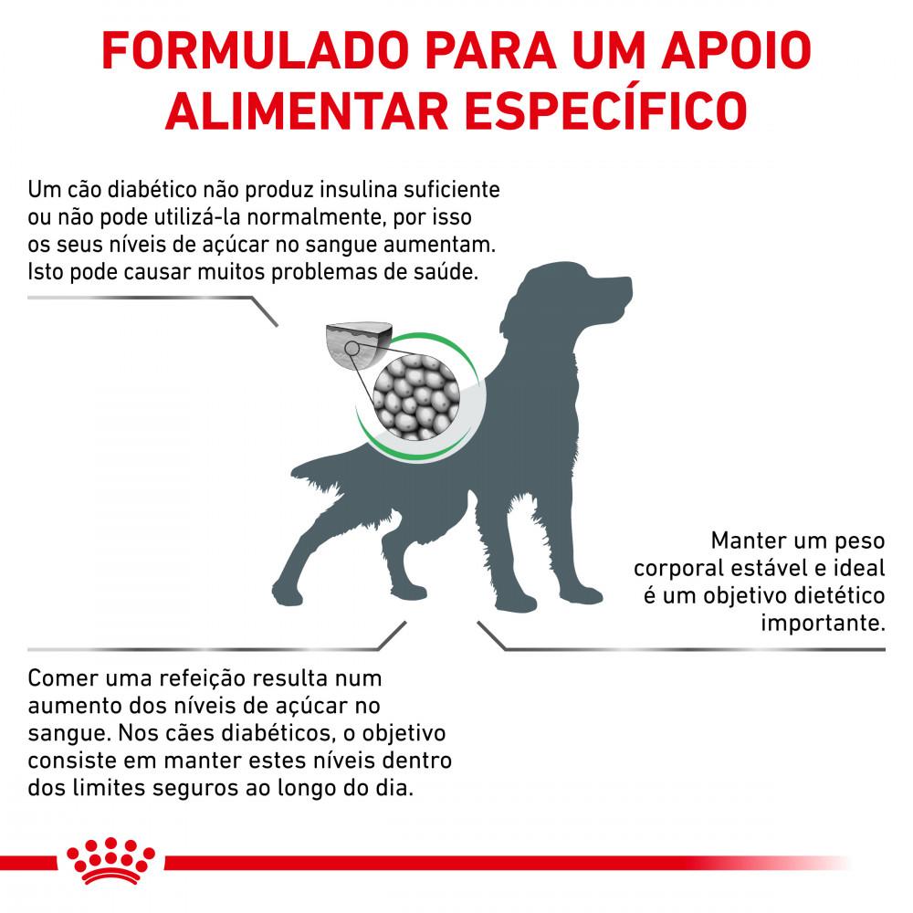 Miscota Royal Canin Cibo Secco per Cani Diabetic Vendita