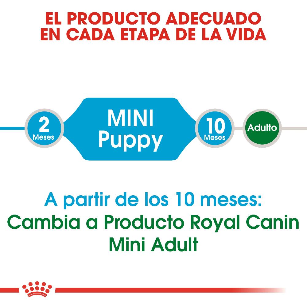 Miscota Royal Canin Mini Puppy Cibo per Cuccioli di Razza Promozione