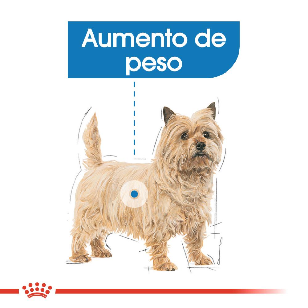 Miscota Royal Canin Mini Light Weight Care controllo del peso degli adulti Taglia piccola Pezzi Unici