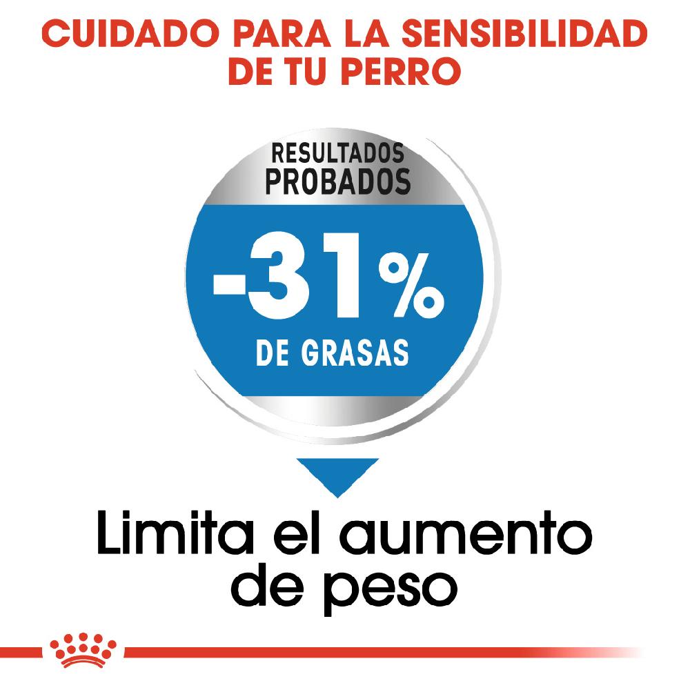 Miscota Royal Canin Mini Light Weight Care controllo del peso degli adulti Taglia piccola Pezzi Unici