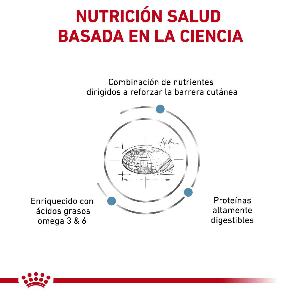 Miscota Royal Canin Cibo Secco per Cani Skin Care Canine Adult Soddisfazione Garantita