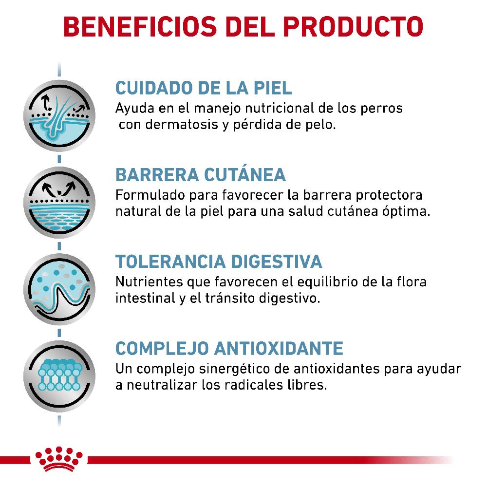 Miscota Royal Canin Cibo Secco per Cani Skin Care Canine Adult Soddisfazione Garantita