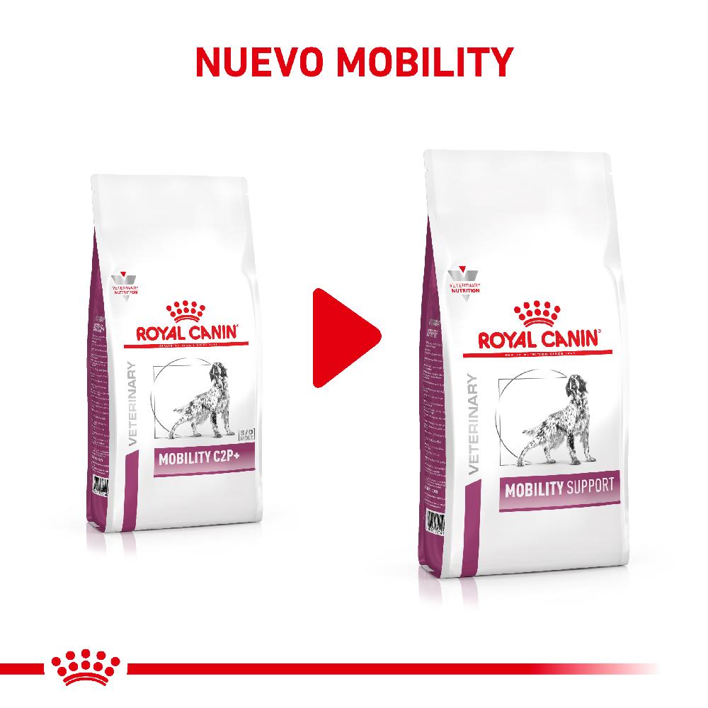 Miscota Royal Canin Cibo Secco per Cani Mobilite C2p+ Canine Qualità Garantita
