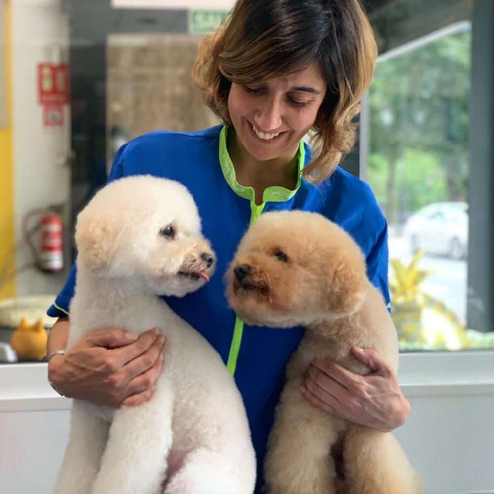 Miscota Artero Balsamo per Cani Flash Italy