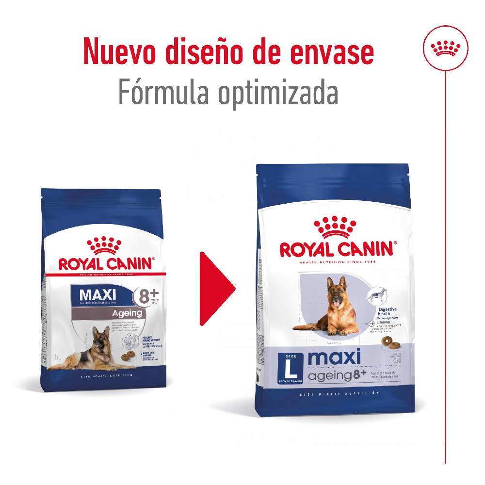 Miscota Royal Canin Maxi Ageing+8 Cibo per cani grandi anziani per cani anziani Italia