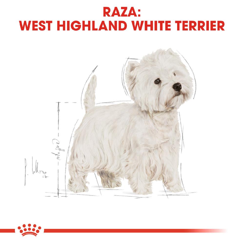Miscota Royal Canin Cibo Secco per Cani West Highland Terrier Adult In Linea