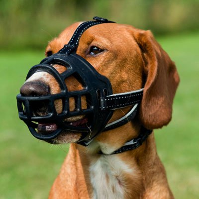 Miscota Trixie Museruola flessibile in silicone per cani Presa