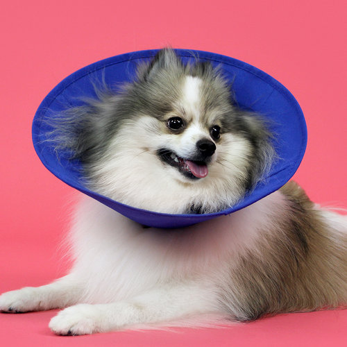 Miscota KVP Ez Soft Elizabethan Collar con Tessuto Offerta