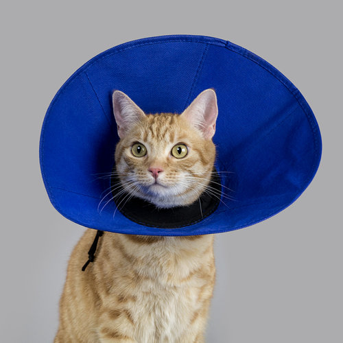 Miscota KVP Ez Soft Elizabethan Collar con Tessuto Offerta