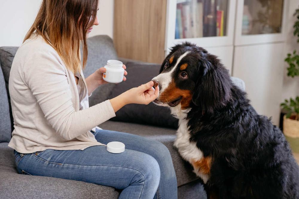 Miscota Virbac Movoflex Morbidi Prodotti da Masticare per Cani Vendite Flash