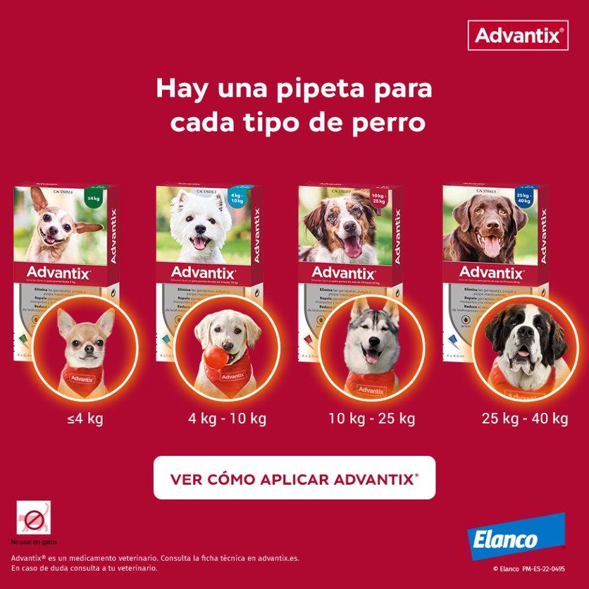 Miscota Advantix Pipetta Piccola Taglia 4-10 Kg Negozio