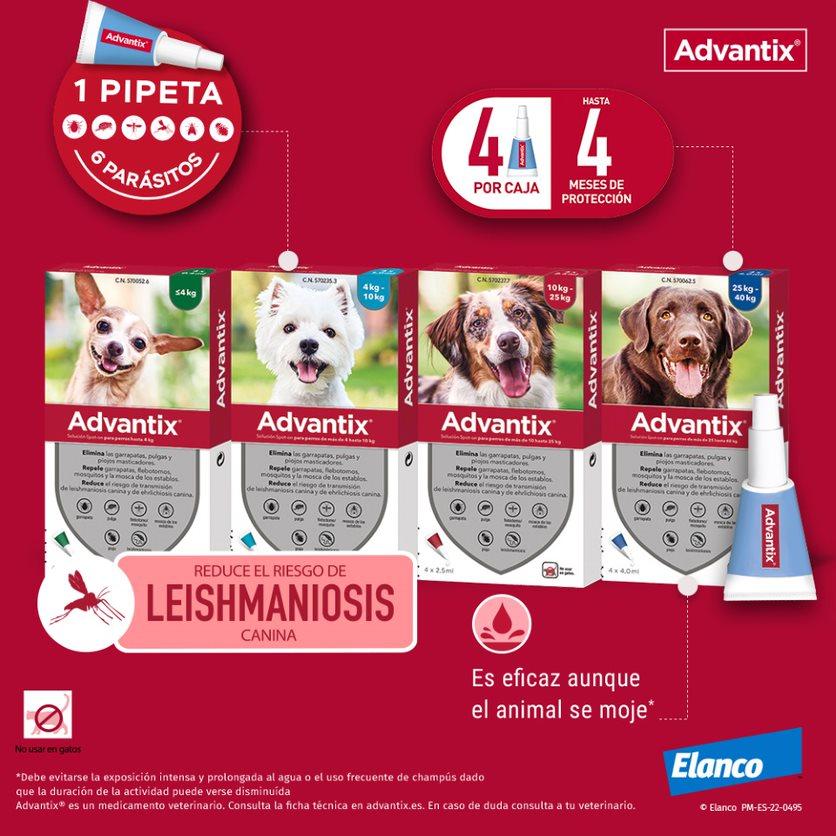 Miscota Advantix Pipetta Piccola Taglia 4-10 Kg Negozio