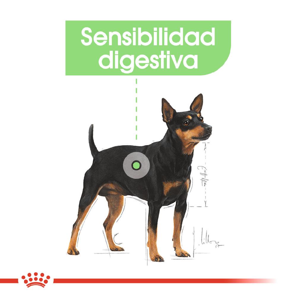 Miscota Royal Canin Mini Digestive Small Adult Digestive Sensitive Dog Italy