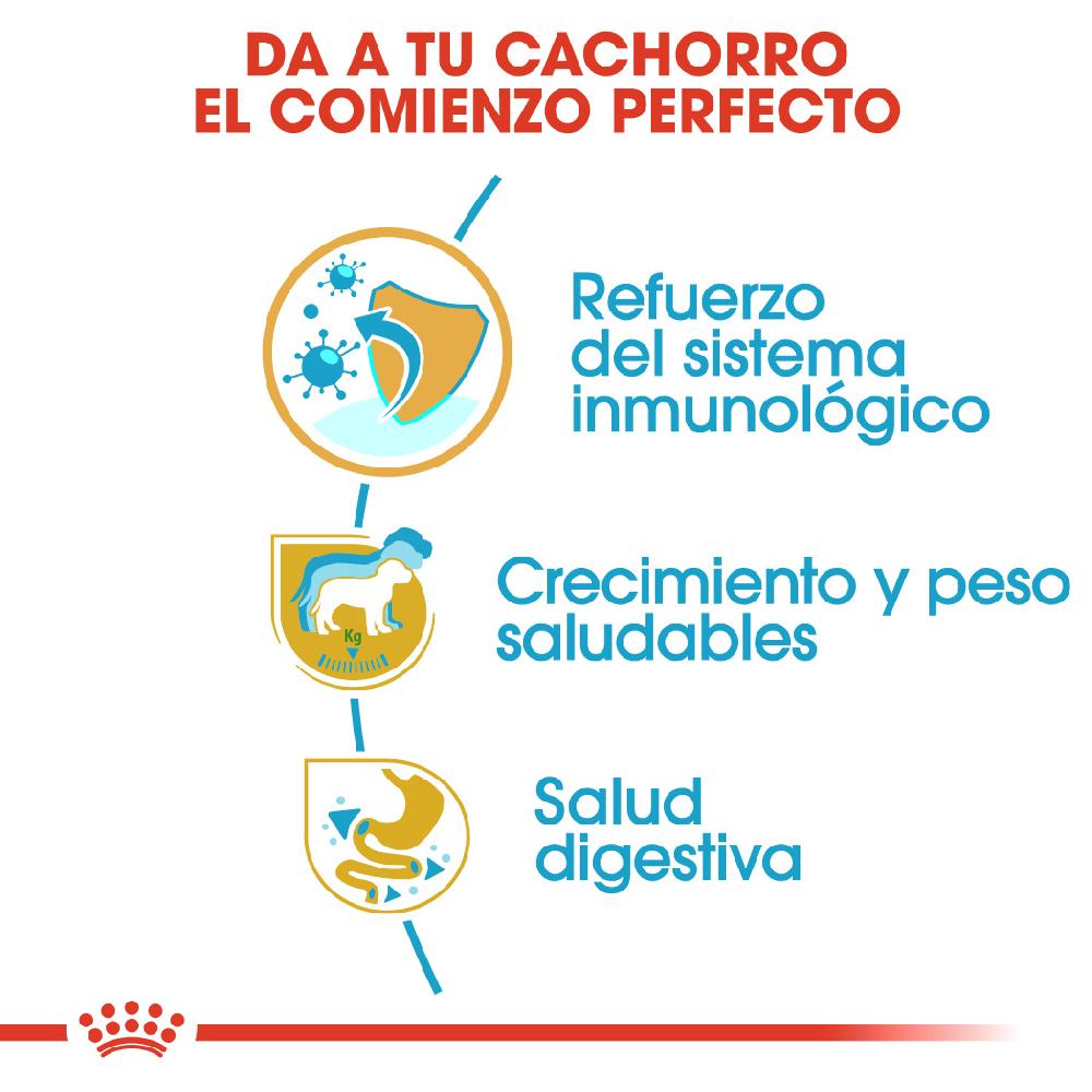 Miscota Royal Canin Cibo Secco per Cani Labrador Retriever Junior Italia