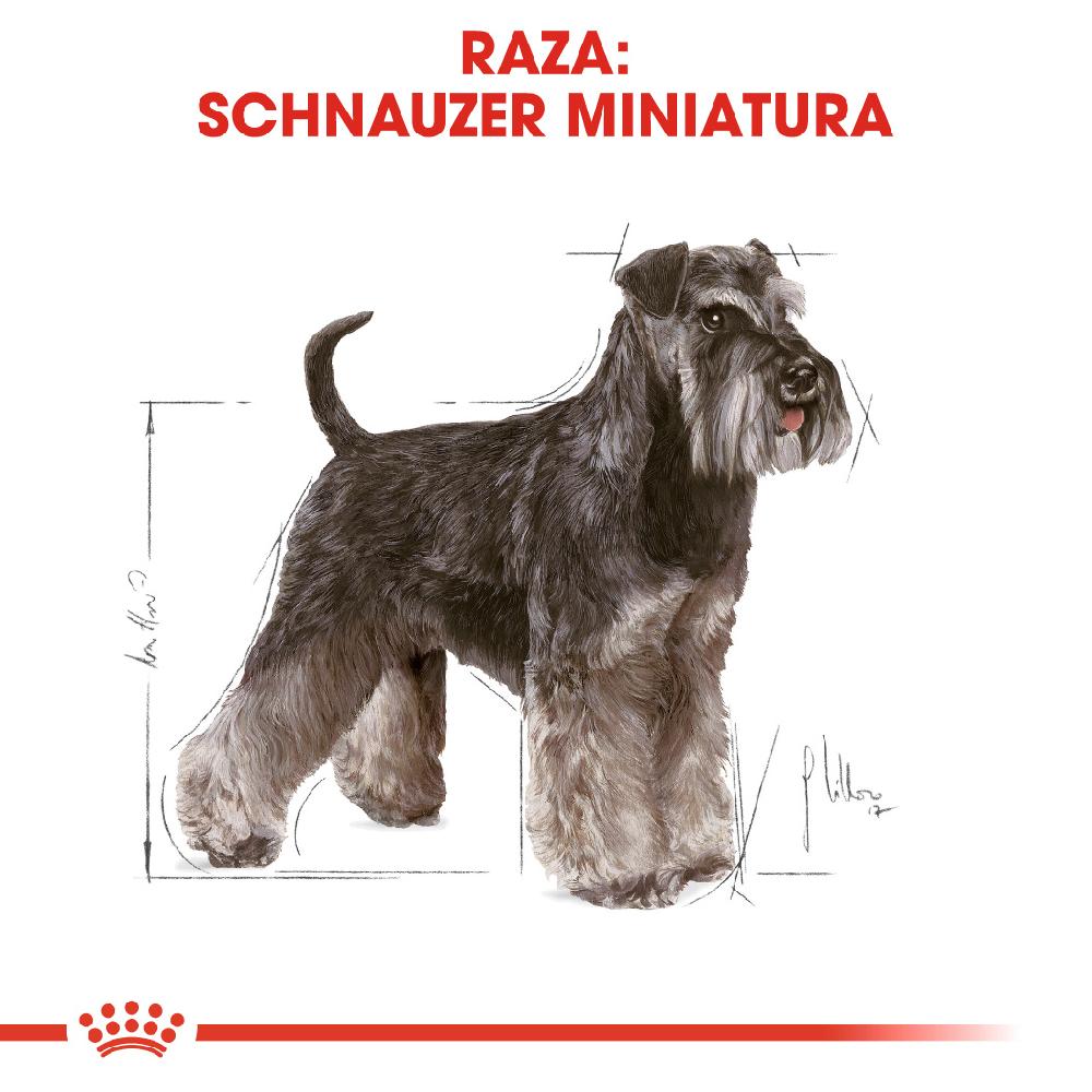 Miscota Royal Canin Cibo Secco per Cani Schnauzer Mini Adult In Linea