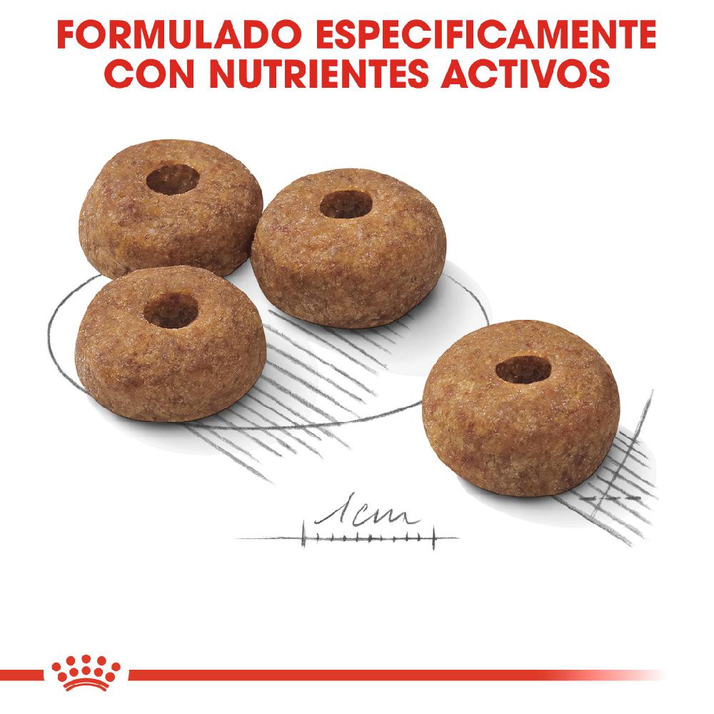 Miscota Royal Canin Medium Sterilised Adult Sterilized Medium Adult Dog Food Nuovo