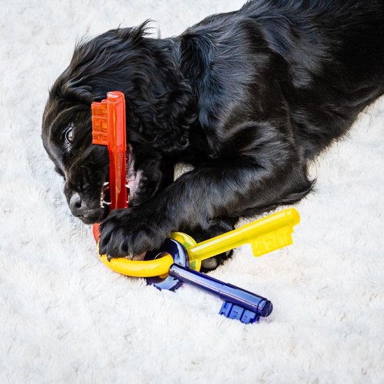 Miscota Nylabone Chiavi per la dentizione Presa
