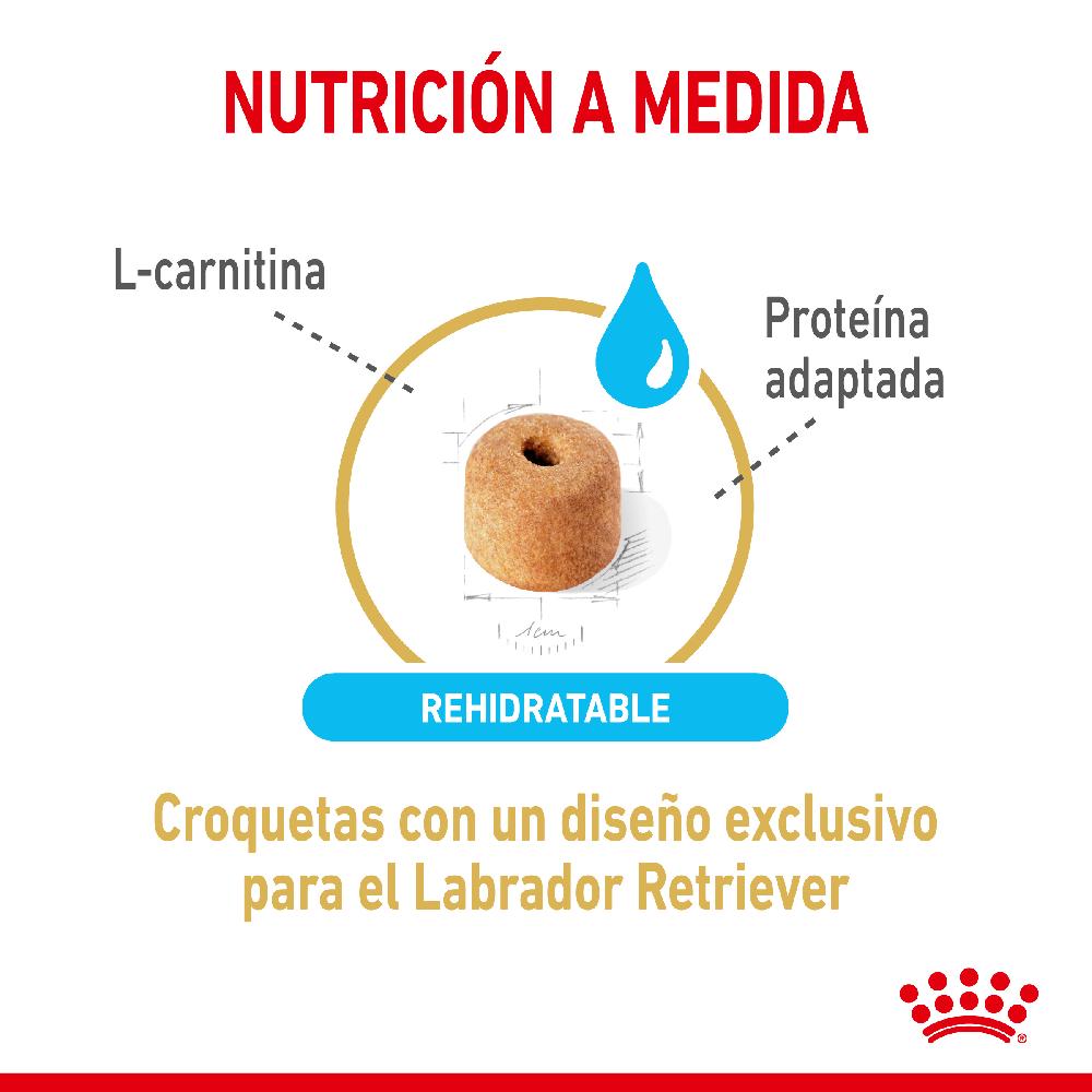 Miscota Royal Canin Labrador Retriever Adult 5+ Sconto
