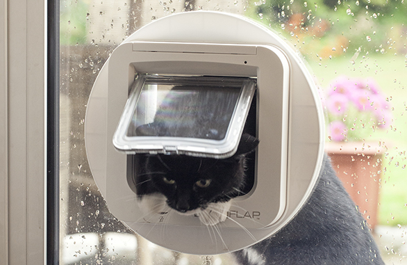 Miscota Sure Petcare SureFlap Porta per Animali Bianco Hotsell