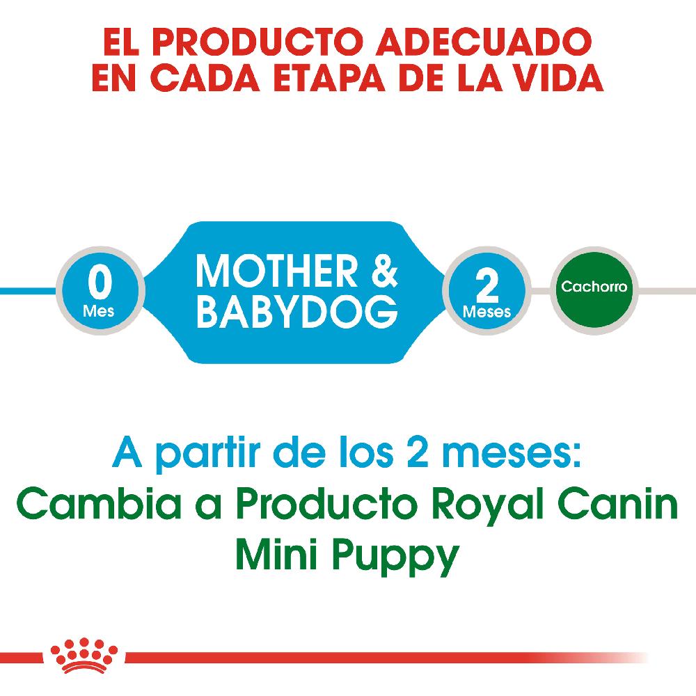 Miscota Royal Canin Cibo Secco per Cani Starter Mini Mother & Babe Dog Qualità