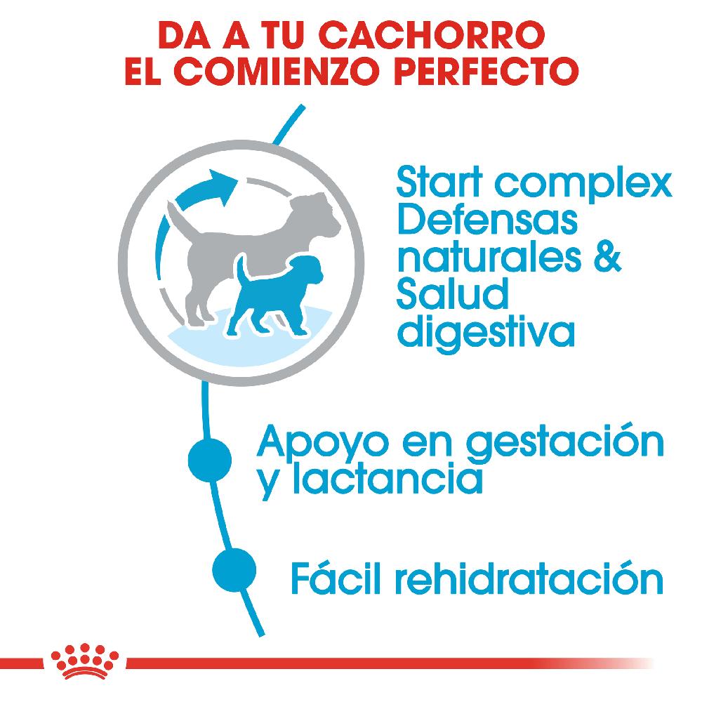 Miscota Royal Canin Cibo Secco per Cani Starter Mini Mother & Babe Dog Qualità