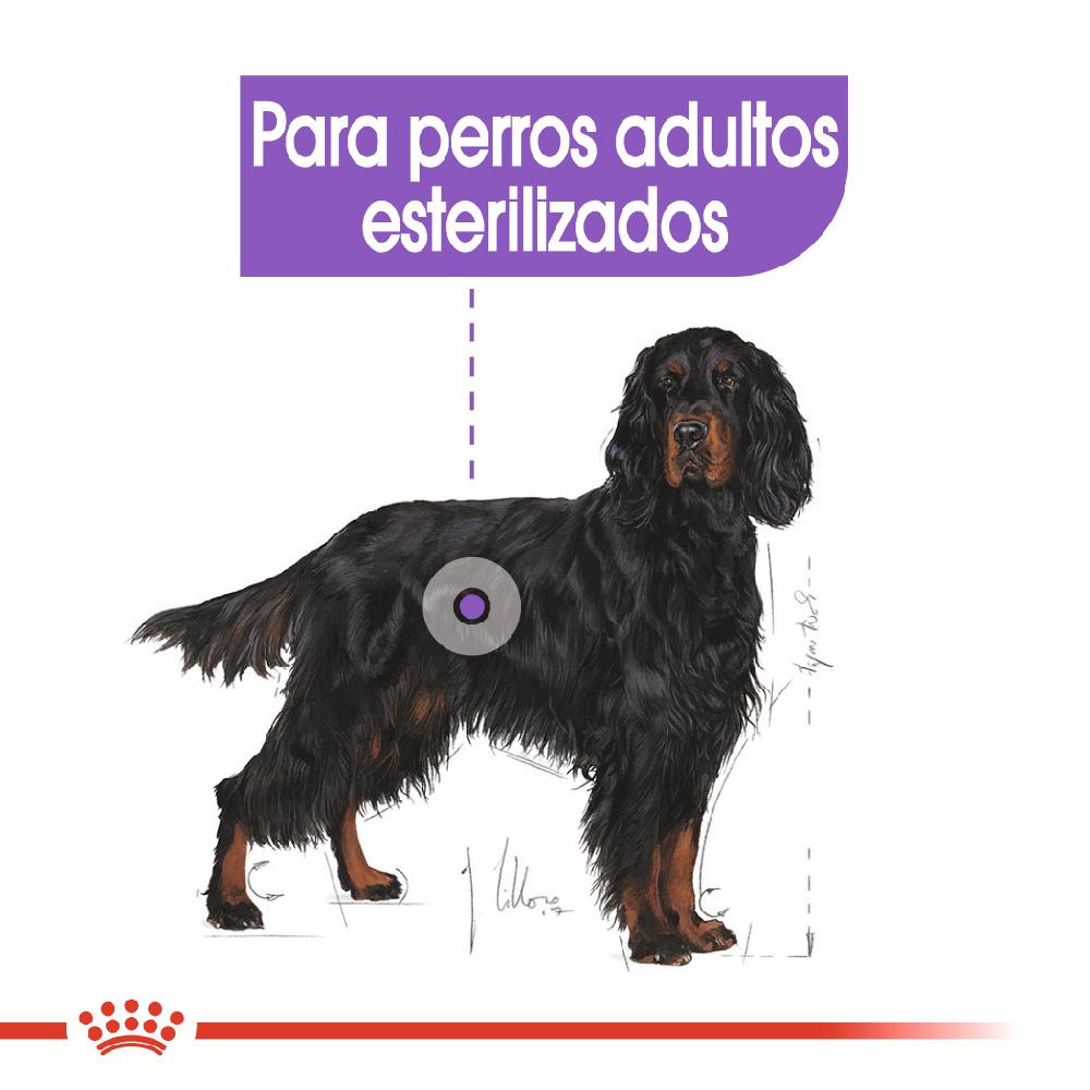 Miscota Royal Canin Maxi Sterilised Sterilised Adult Dog Food Soddisfazione Garantita