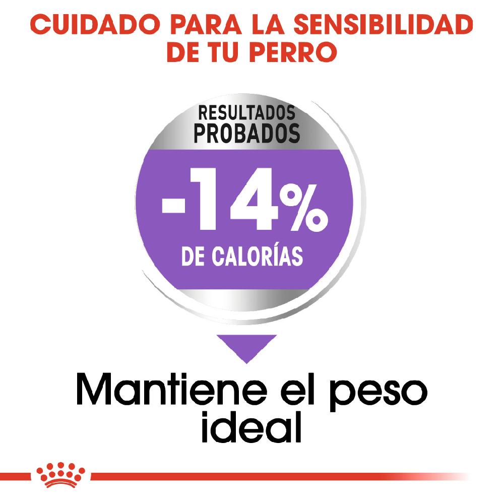 Miscota Royal Canin Maxi Sterilised Sterilised Adult Dog Food Soddisfazione Garantita