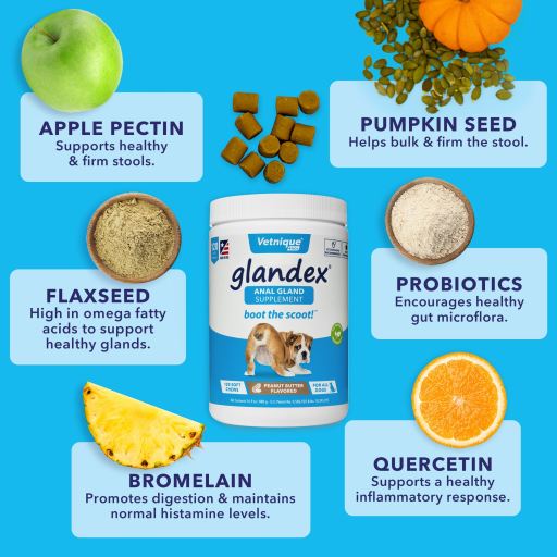 Miscota JTPharma Complemento per Cani Glandulex Saldi Di Fabbrica