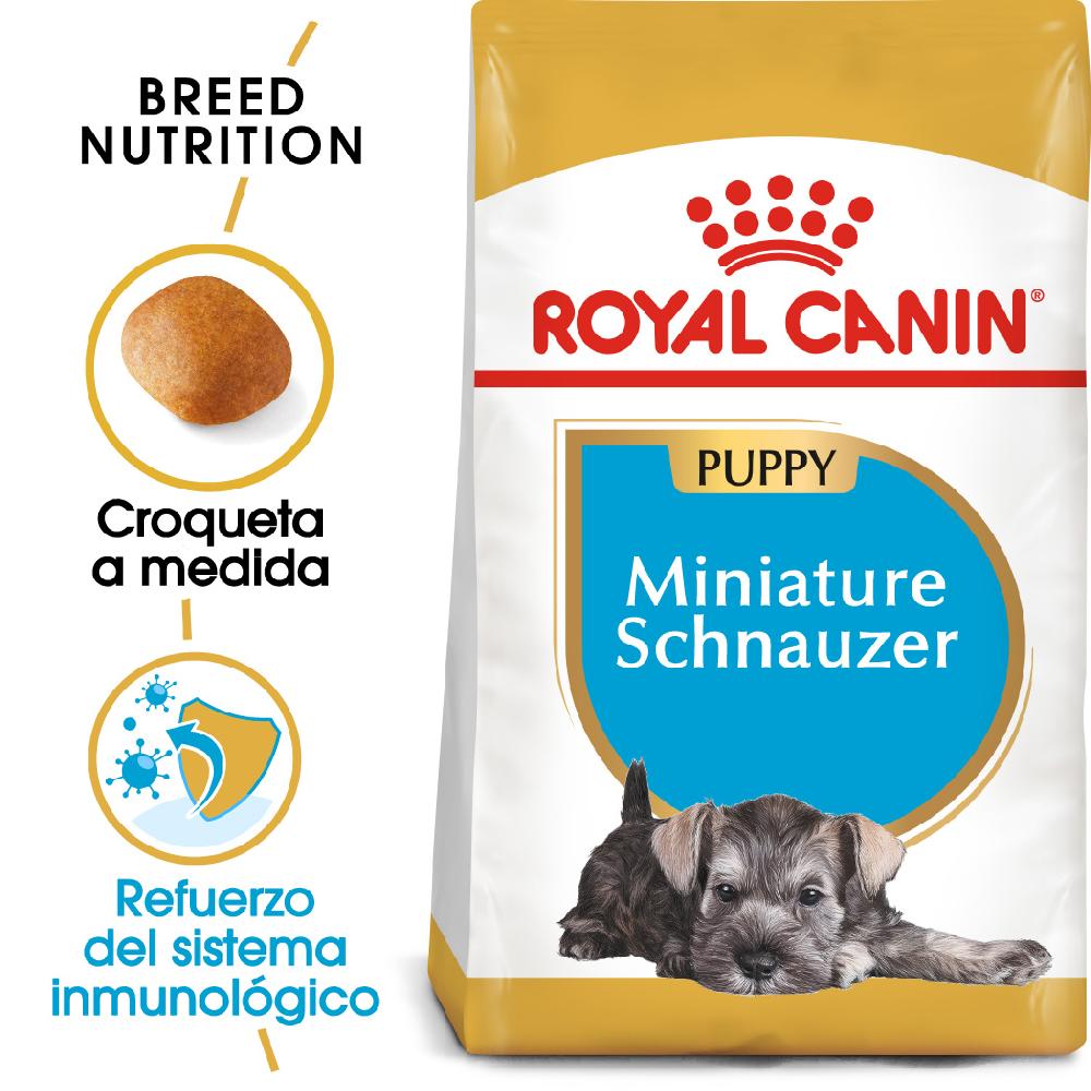 Miscota Royal Canin Cibo Secco per Cani Miniature Schnauzer Junior Moda