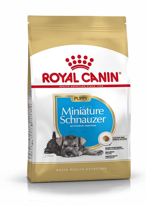 Miscota Royal Canin Cibo Secco per Cani Miniature Schnauzer Junior Moda