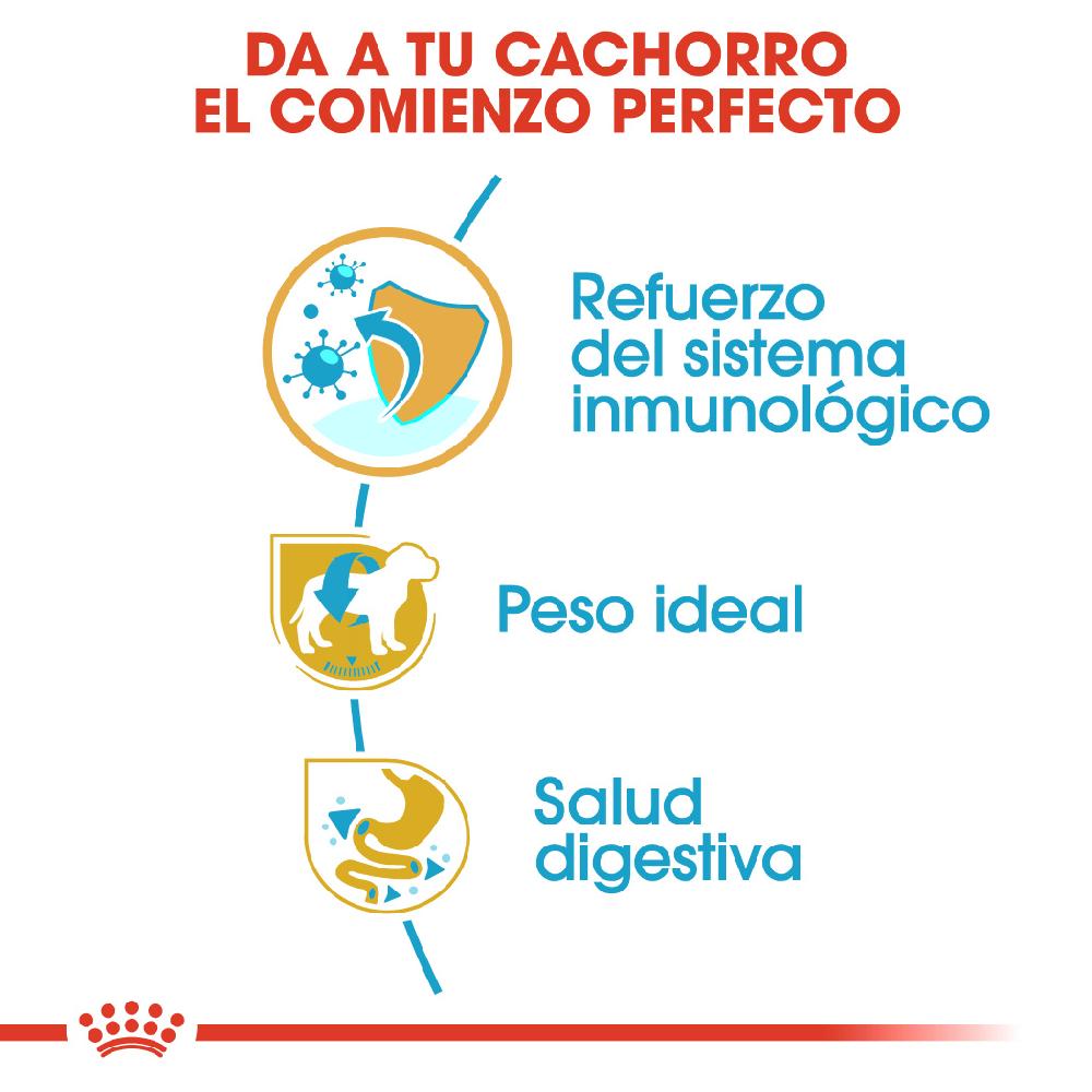 Miscota Royal Canin Cibo Secco per Cani Miniature Schnauzer Junior Moda