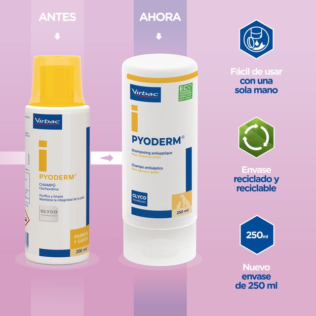 Miscota Virbac Clearium Shampoo Antisettico per Cani Sconto di tempo limitato