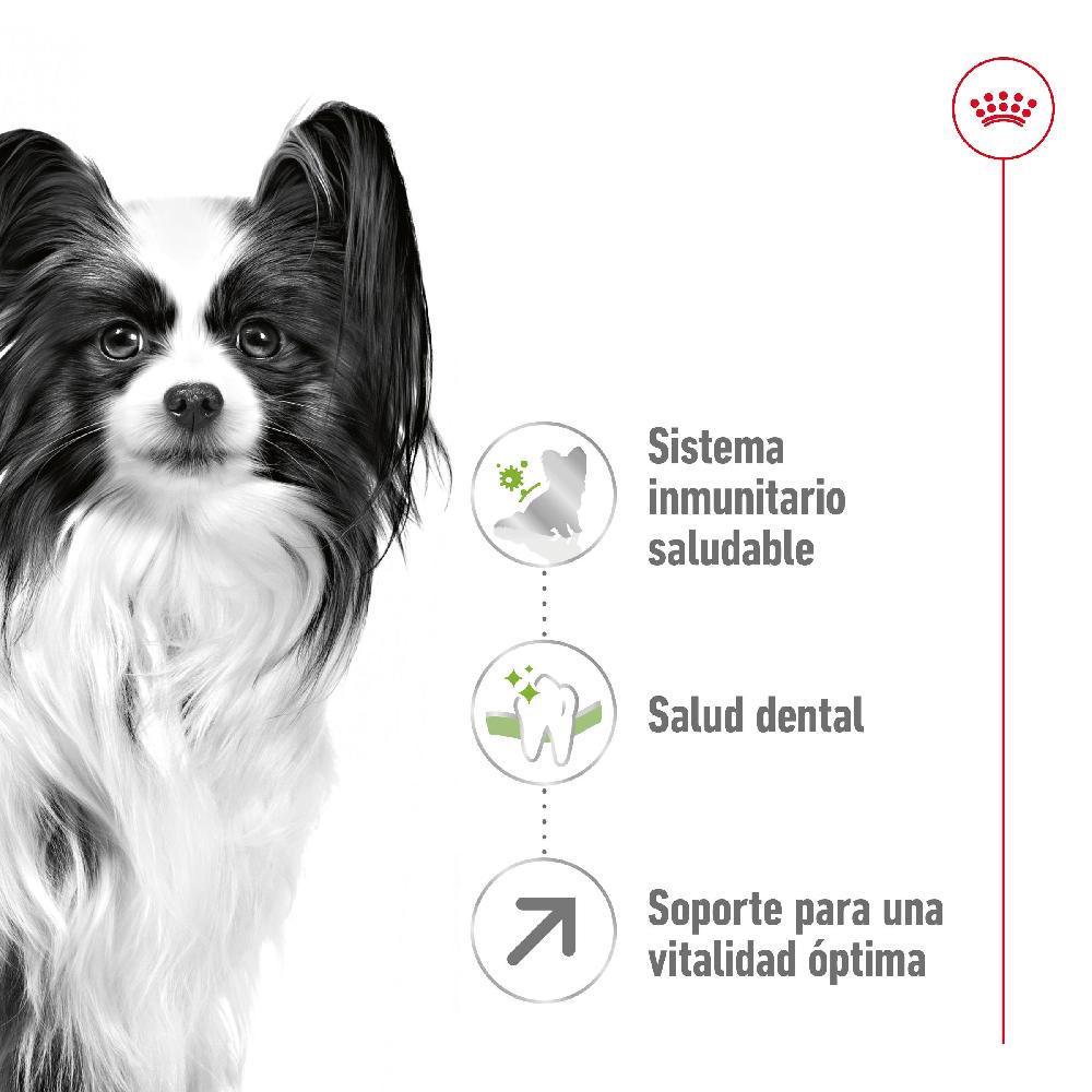 Miscota Royal Canin Cibo Secco per Cani X-Small Adult +8 Prezzo di fabbrica