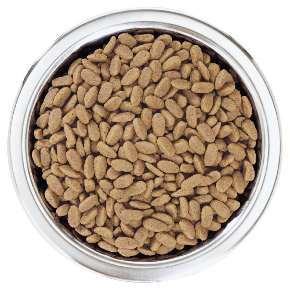 Miscota Purina Pro Plan Optiderma Adulti Salmone Small/Mini Fornitura limitata