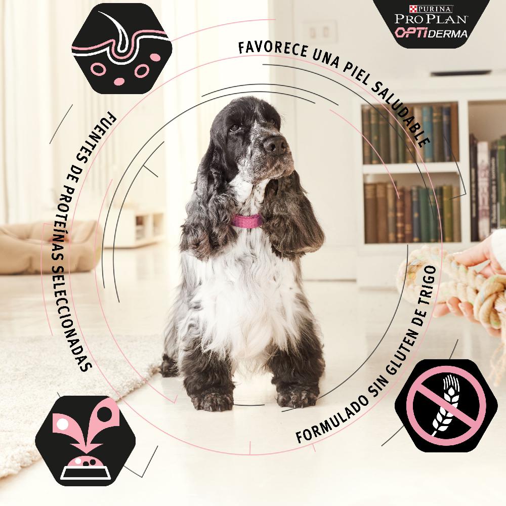 Miscota Purina Pro Plan Optiderma Adulti Salmone Small/Mini Fornitura limitata