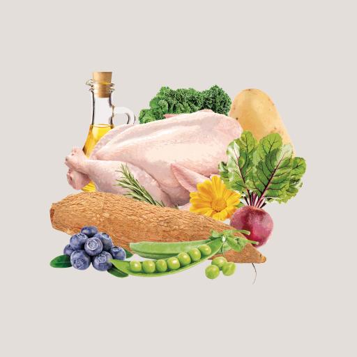 Miscota Traveness Cibo Naturale Ricetta di Pollo Puppy & Junior Senza Cereali Online Outlet
