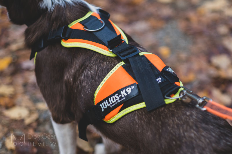Miscota Julius K9 Pettorina Mantrailing arancione e neon per cani Promozione temporanea