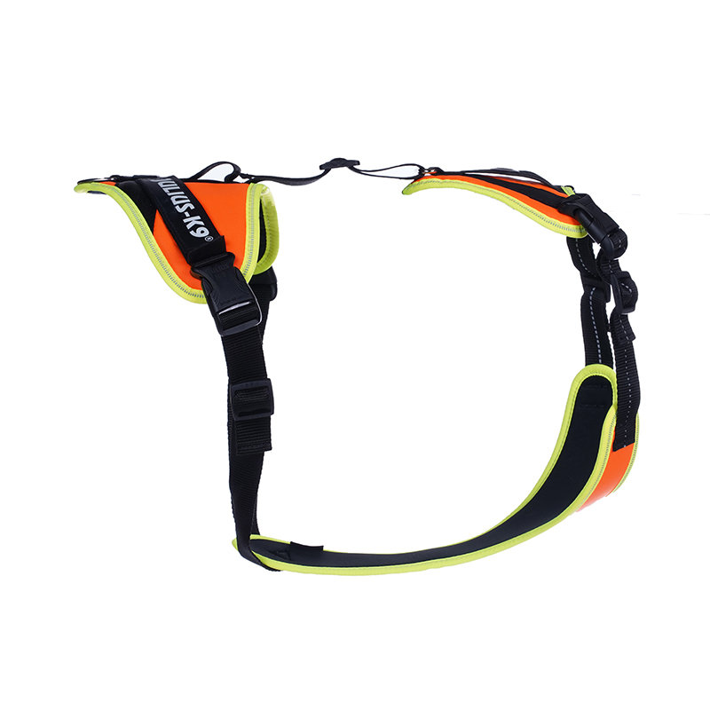 Miscota Julius K9 Pettorina Mantrailing arancione e neon per cani Promozione temporanea