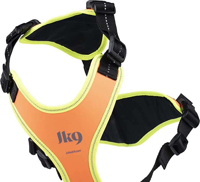 Miscota Julius K9 Pettorina Mantrailing arancione e neon per cani Promozione temporanea
