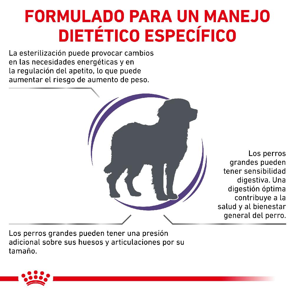Miscota Royal Canin Cibo Secco per Cani Neutered Adult Large Dog Discount Store per i nuovi prodotti