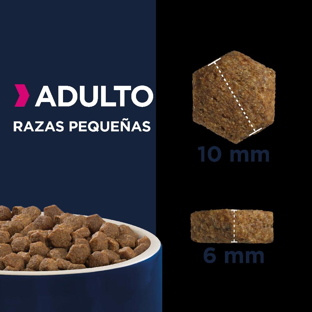 Miscota Eukanuba Mantenimento adulti di piccola taglia Black Friday Prezzi