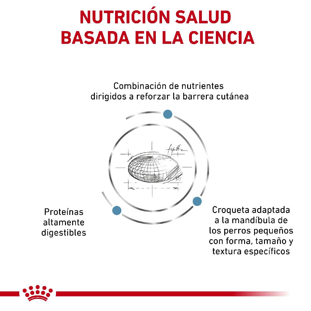 Miscota Royal Canin Cibo Secco per Cani Skin Care Adult Small Dog Duty-free