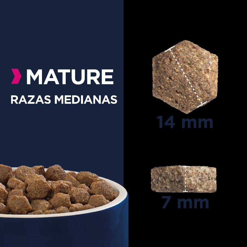 Miscota Eukanuba Razza media in età matura Prezzo Ridotto