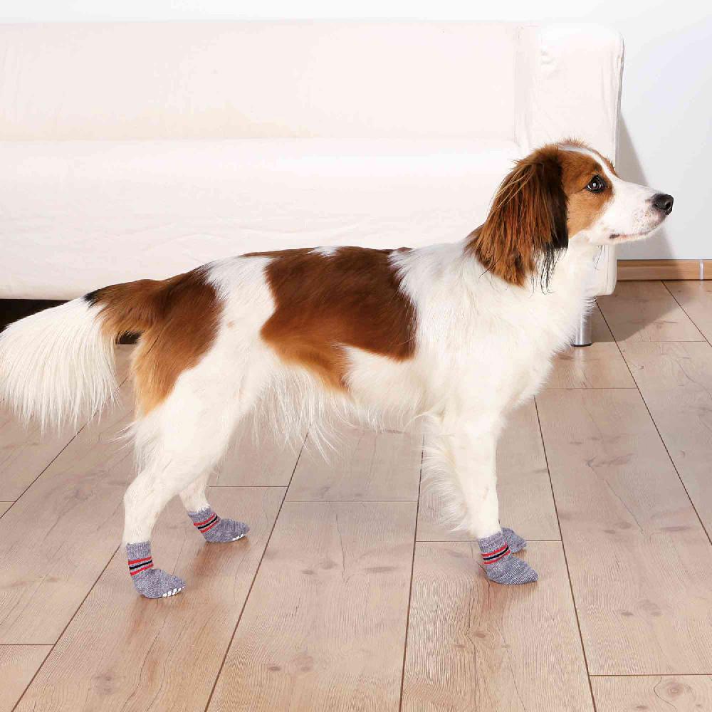 Miscota Trixie Calze grigie antiscivolo per cani Sottocosto