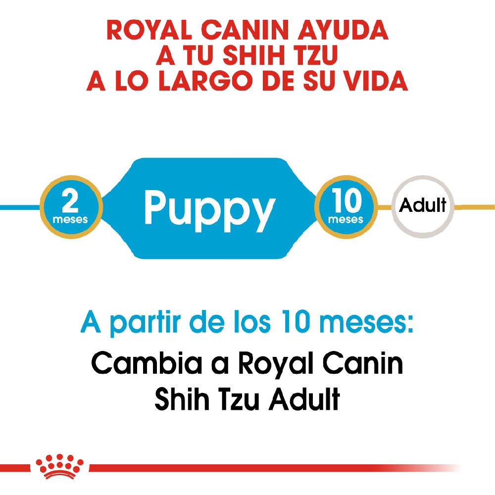 Miscota Royal Canin Cibo Secco per Cani Shih Tzu Junior Outlet