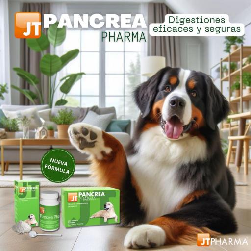 Miscota JTPharma Cani E Gatti Dietary Allowance Pancreatici Pharma 60 Compresse Grande vendita