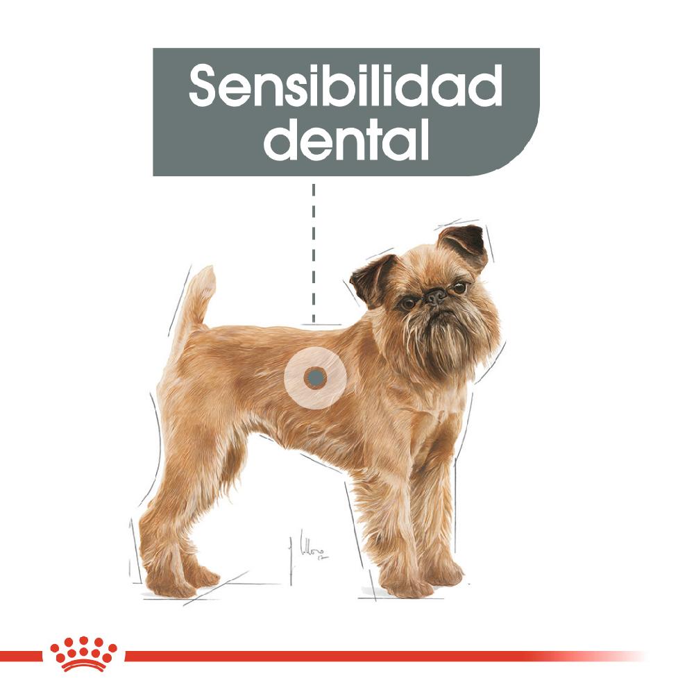 Miscota Royal Canin Mini Dental Care Offerta per la Festa della Mamma