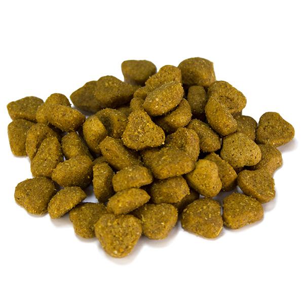 Miscota Arquivet Cibo Secco Adult Agnello e Riso Fino al 50% di sconto